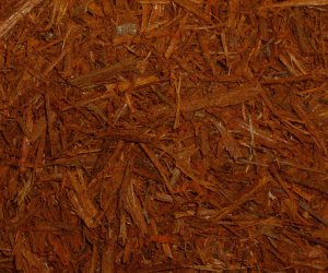 Logwood chips